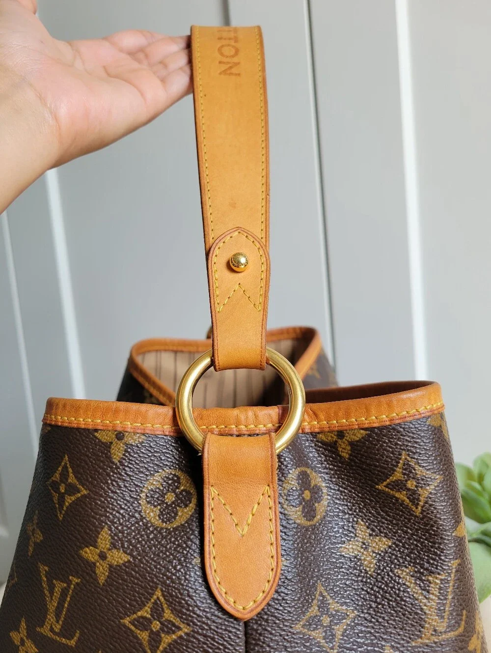 Louis Vuitton DELIGHTFUL PM Hobo Shoulder Bag Monogram
